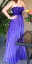 Stunning Strapless Full Length Dress - (Saratoga Springs)