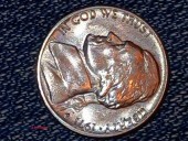 1971 d error coin - (Twin cities)
