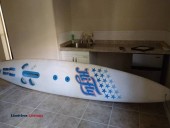 Wind Surfer Sailboard (aurora)