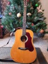 Martin Model D 28 And Case (knoxville)