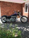 Harley Davidson Pro Street Show Motorcycle - (Loveland)