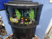 50 gallon corner fish tank and stand 