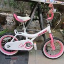 Childs Girl Bike (Fresno)