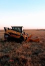 Pasture cedar tree clearing - (Deshler)