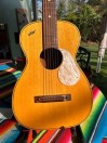 RARE & Mint VOX Serenader Acoustic Guitar - (Sacramento)